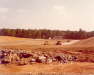 ShawConst19